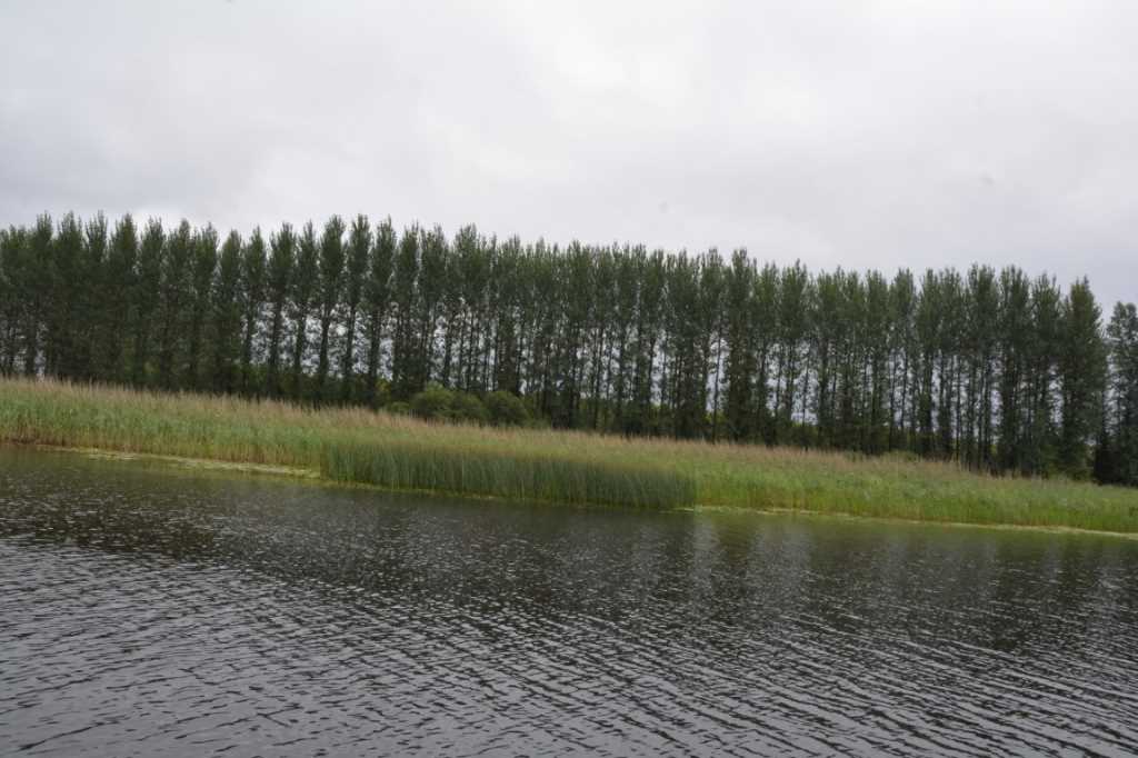 DSC_6244Mittel_.JPG